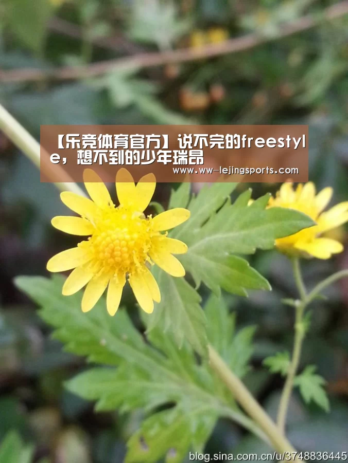 【乐竞体育官方】说不完的freestyle,想不到的少年瑞昂(图1) LEJING 体育