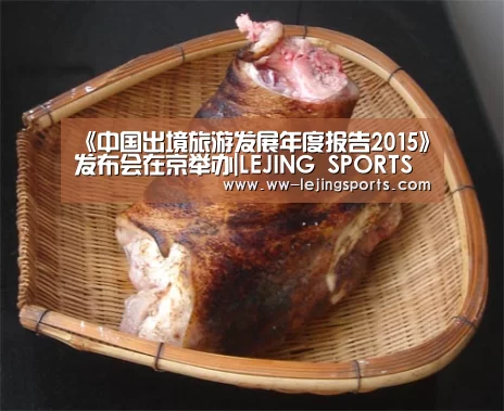 《中国出境旅游发展年度报告2015》发布会在京举办|LEJING SPORTS(图3) LEJING SPORTS